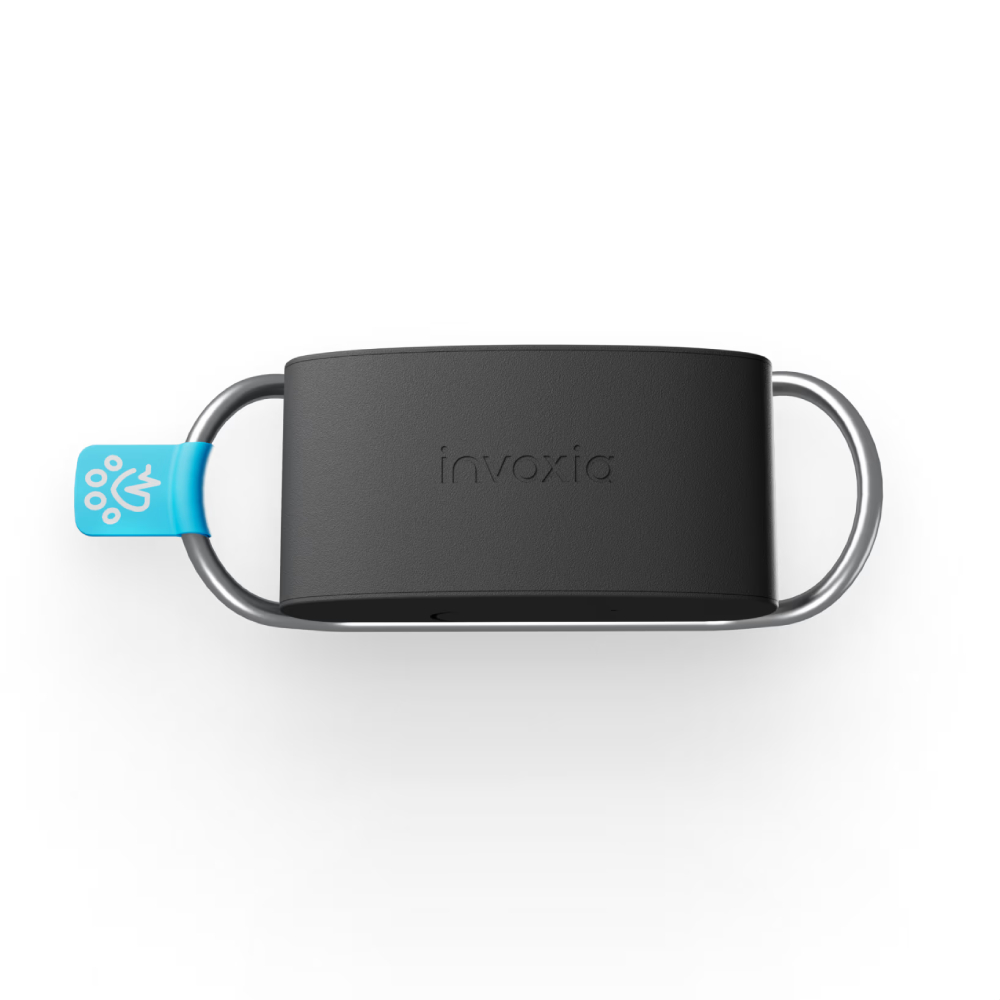 Умный трекер здоровья, активности и локации для собак. Minitailz