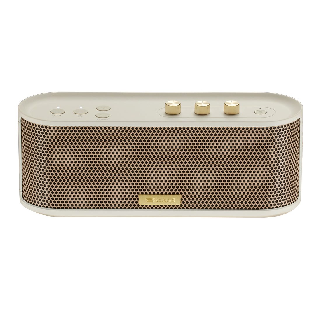 Bluetooth-колонка с функцией гитарного усилителя. Roland BTM-1