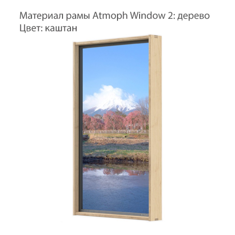 Умное окно-дисплей. Atmoph Window 2 купить в Москве по приятной цене