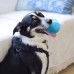 Интерактивный мячик для кошек и собак. Cheerble Wicked Ball 9