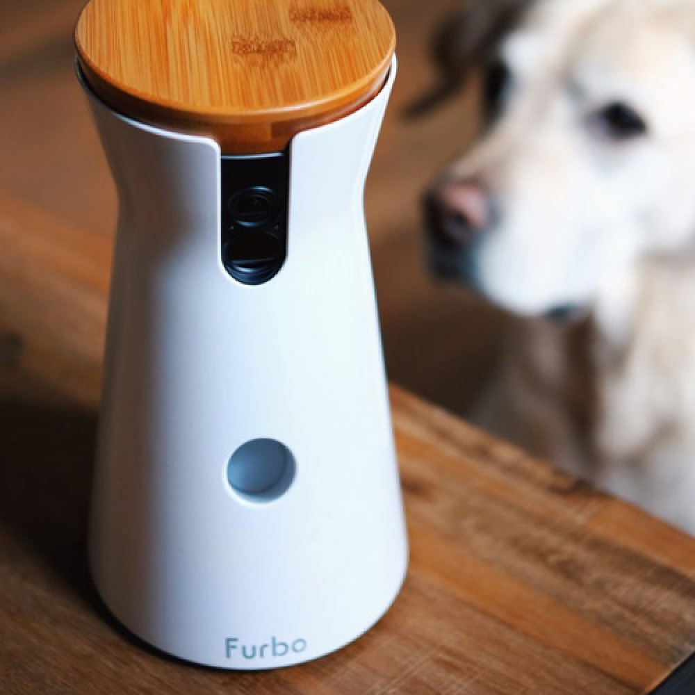 Умная WI-FI камера для собак с функцией прикорма. Furbo Dog Camera купить в  Москве по приятной цене