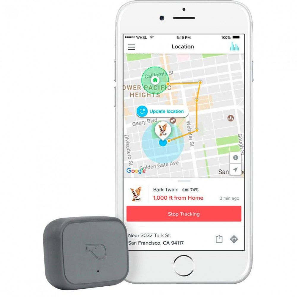 Whistle 3. GPS-трекер для животных купить в Москве по приятной цене